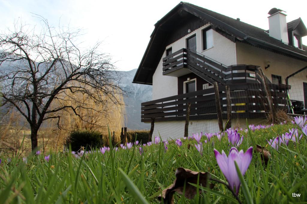 Apartments Tatjana Bovec Bagian luar foto