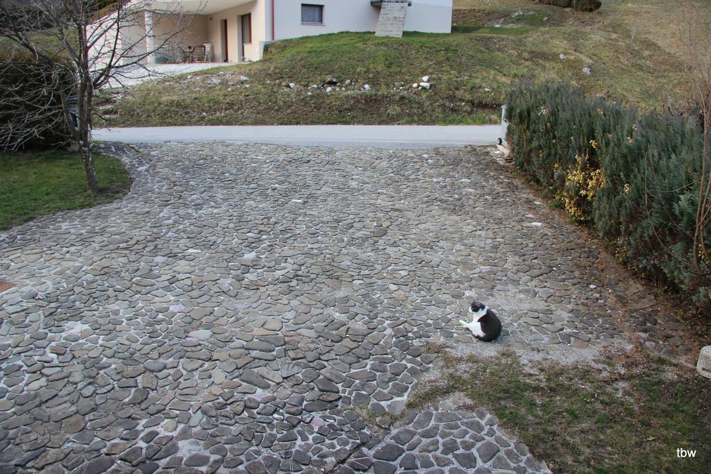 Apartments Tatjana Bovec Bagian luar foto